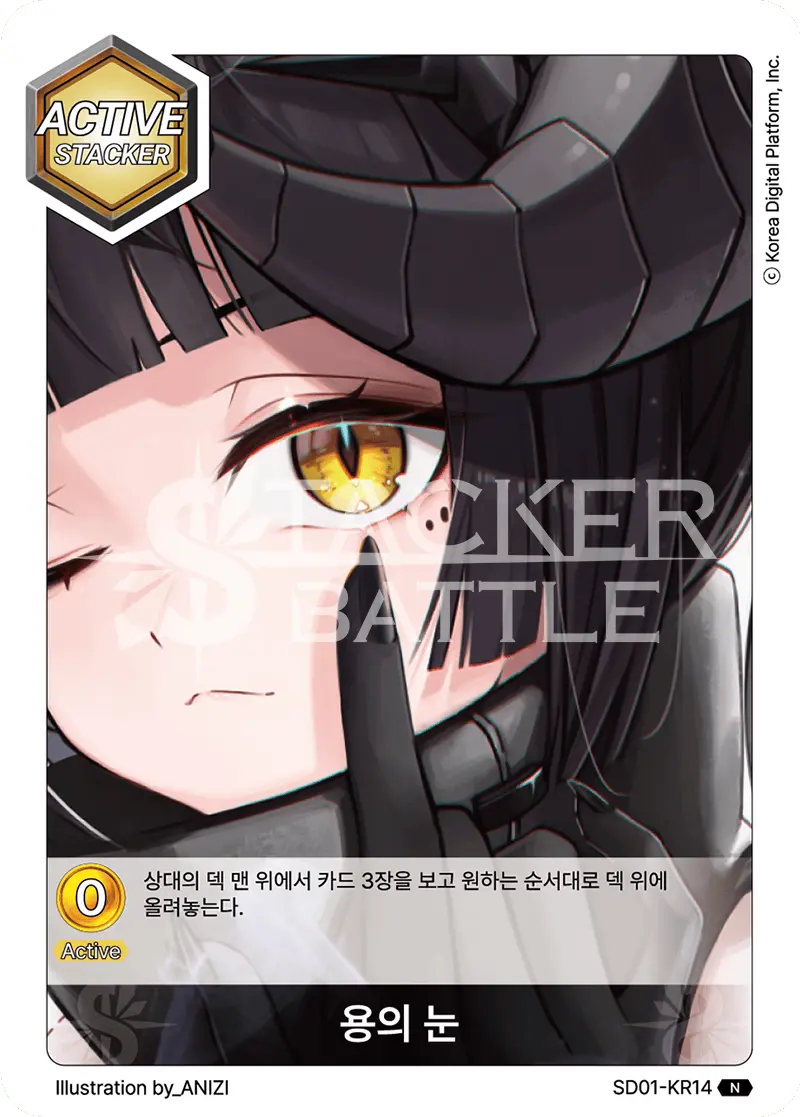 용의 눈