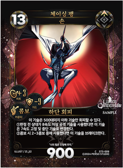 체이싱 팽